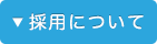 採用ýについて